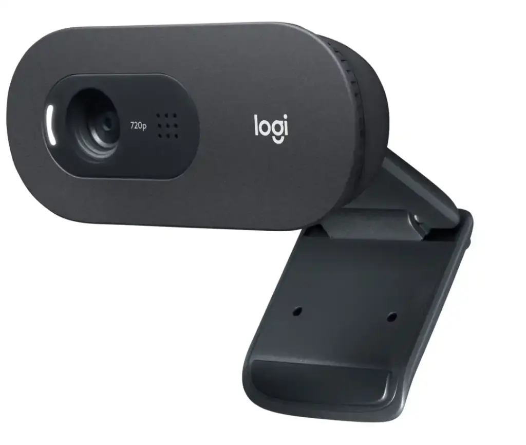 Webcam Logitech C505e