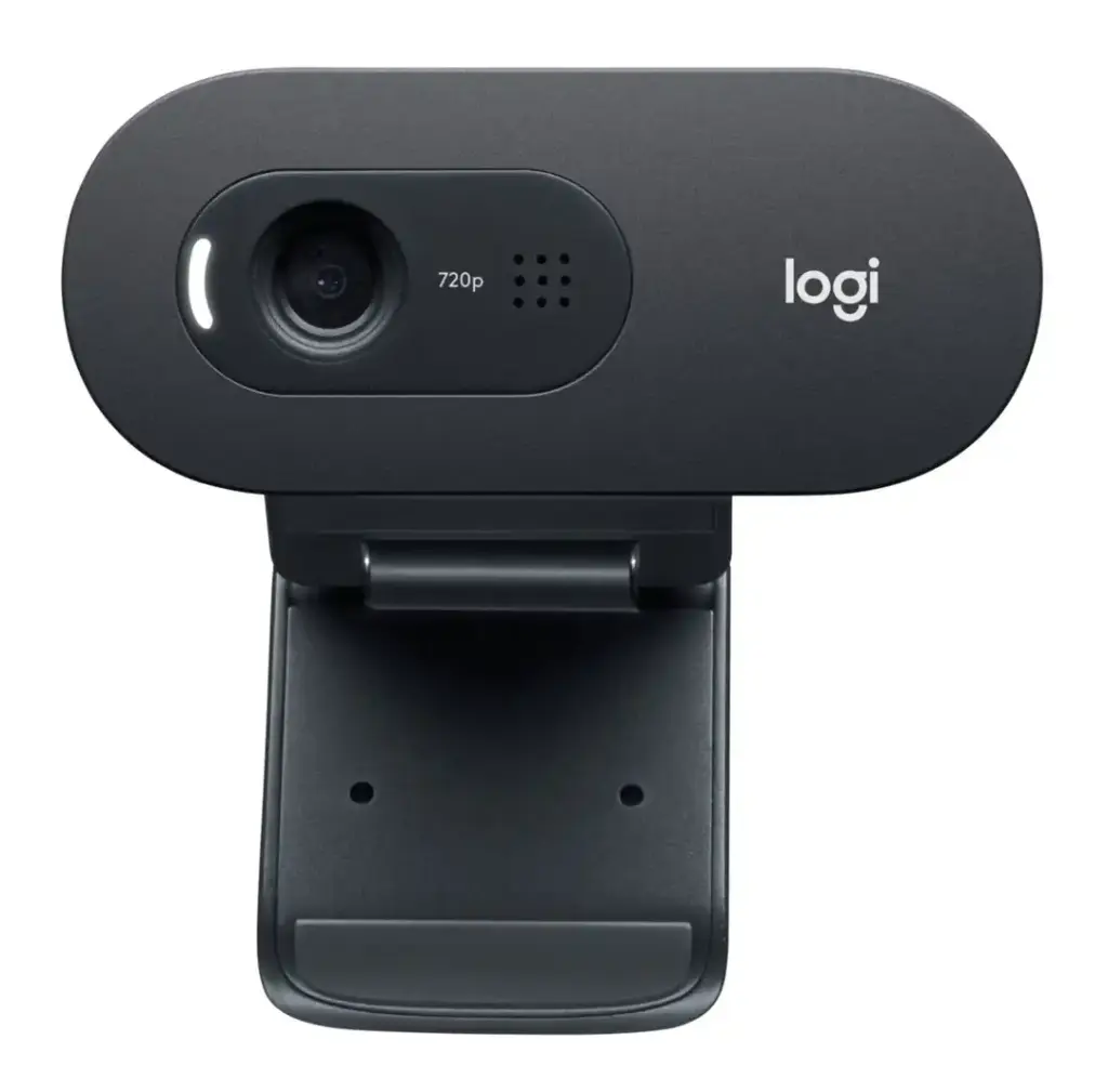Webcam Logitech C505e